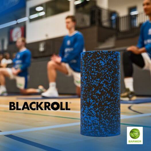 LIONS x Blackroll