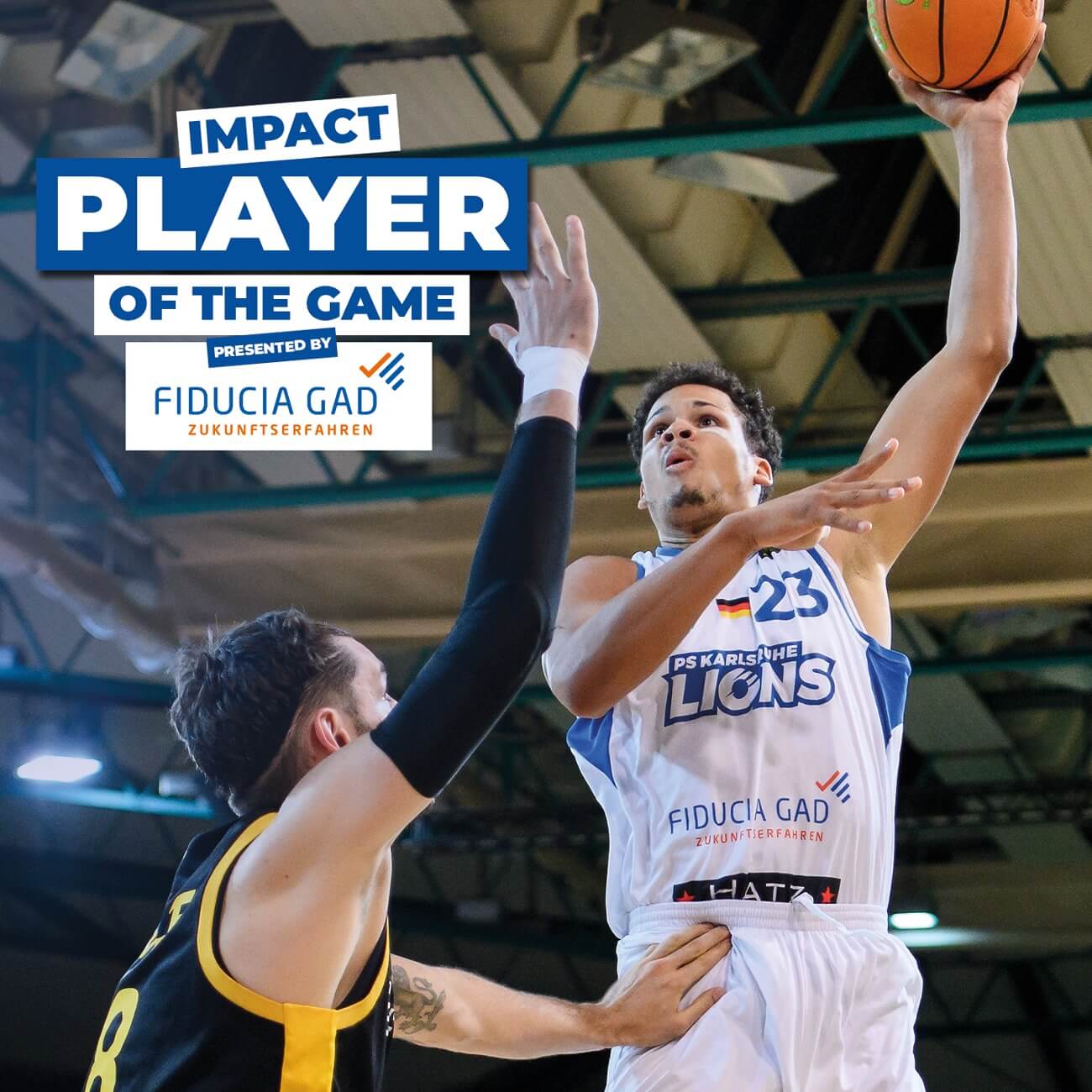 MOE PLUSKOTA WIRD IPOTG