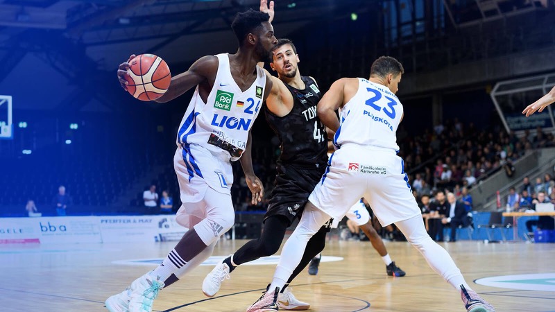 Lions schnuppern an Sensation